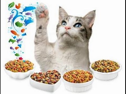 Thức ăn Me-o dành cho mèo 1,2kg - Ảnh 3